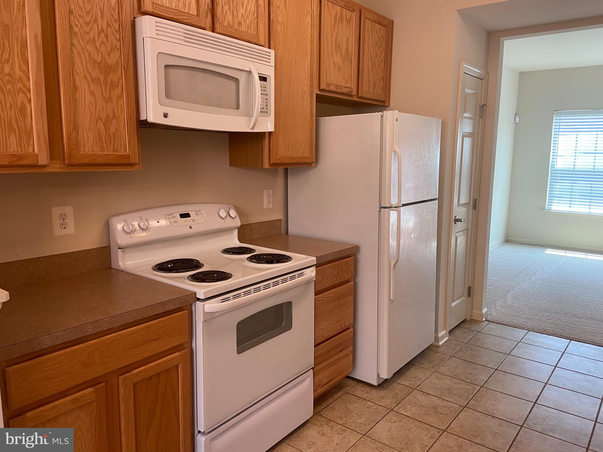 7118 Azalea Drive Ruther Glen, VA 22546 - Photo 3 of 16