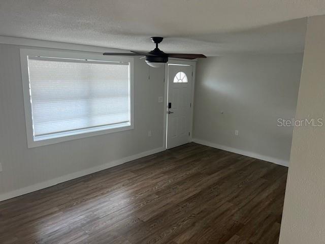 5026 Moog Road Holiday, FL 34690 - Photo 8 of 23