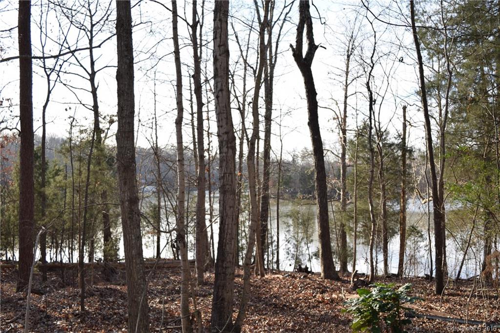 9801 Withers Road Charlotte, NC 28278 - Photo 5 of 9 Gallery Image 5