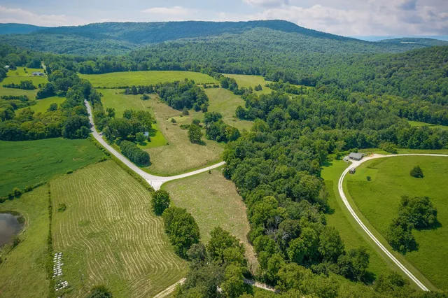 a view of a back yard from a swimming pool