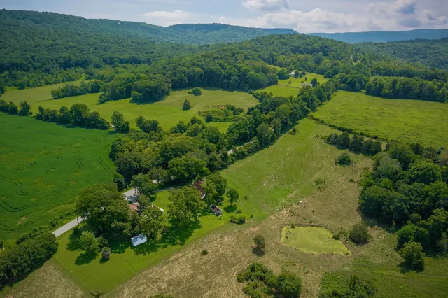 a view of a garden with a building in the background
