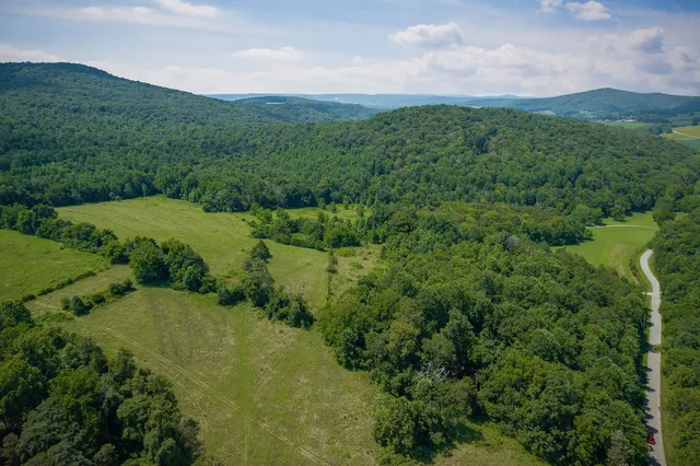a view of a forest with a street