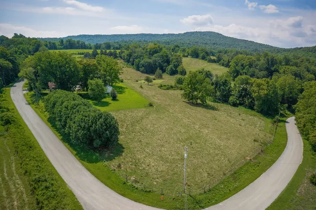 a view of a swimming pool with a yard