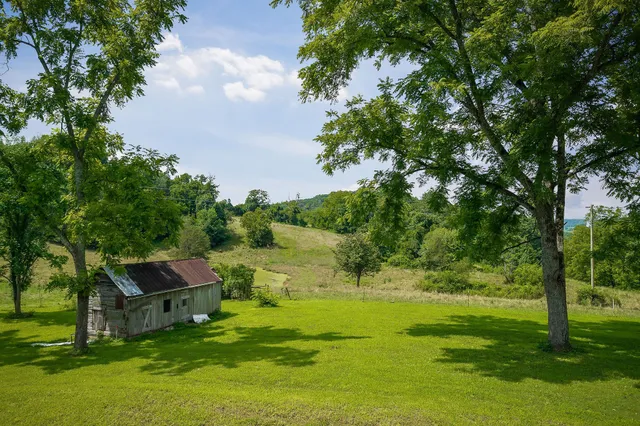 a backyard of a house with lots of green space