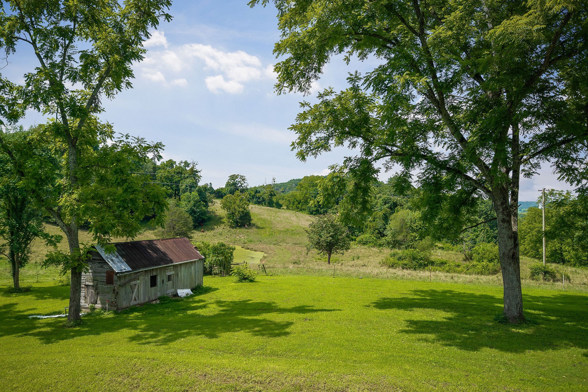 3908 Lost Creek Road Sparta, TN 38583 - Photo 3 of 21 a backyard of a house with lots of green space