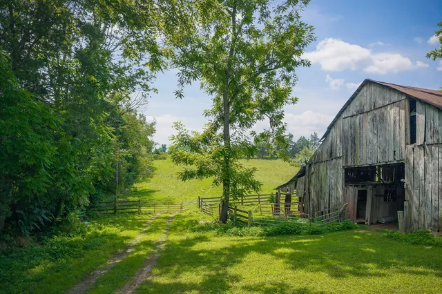 a view of a back yard of the house