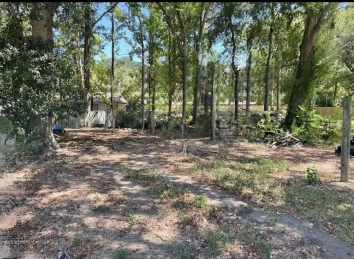 905 Nevell Street Cleveland, TX 77327 - Photo 5 of 5