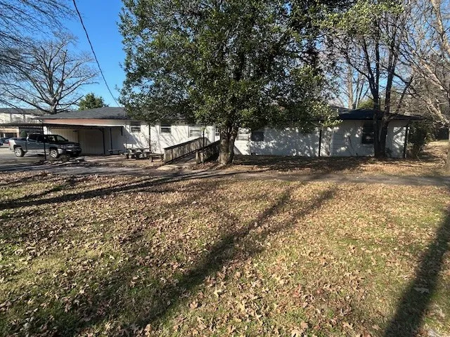 a view of a yard with a tree