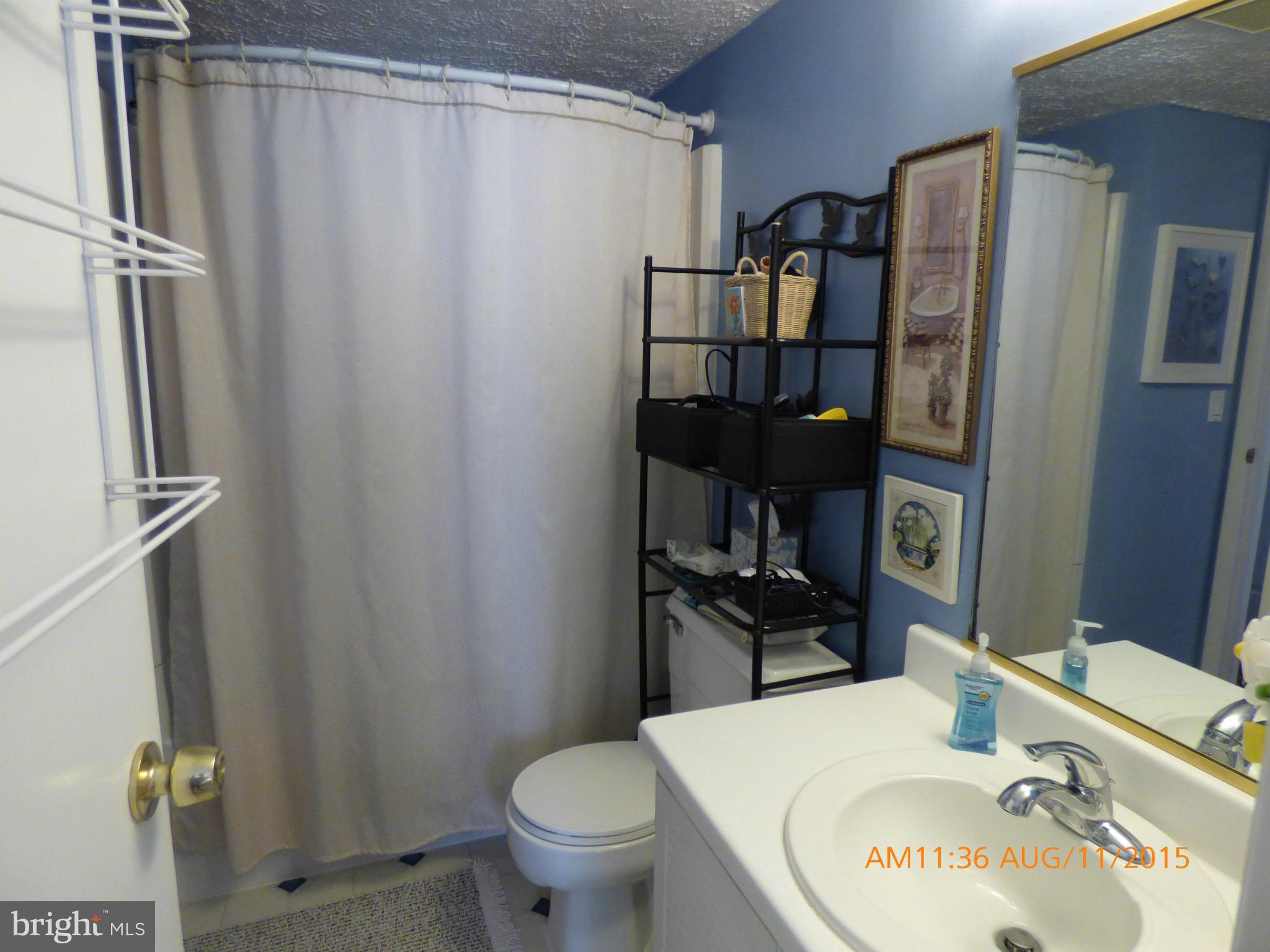 12533 Cross Ridge Way Germantown, MD 20874 - Photo 10 of 12 Bath