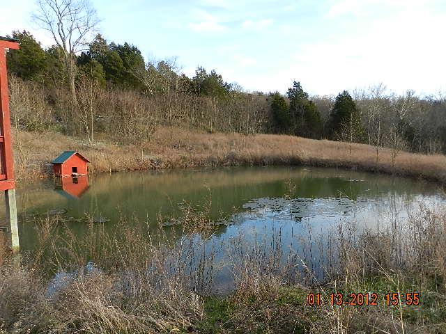 2999 Eastover Road Watertown, TN 37184 - Photo 5 of 20 Gallery Image 5