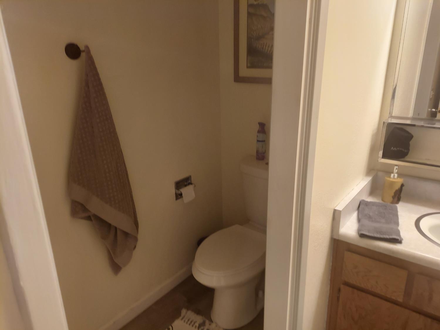 489 Alpine Drive Colfax, CA 95713 - Photo 19 of 46 a bathroom with a sink and toilet