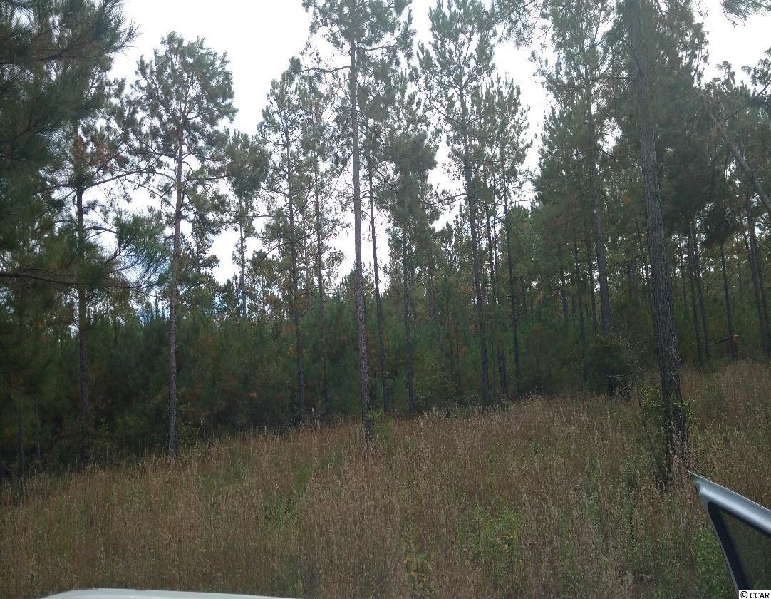 Lot 3 Samworth Loop Georgetown, SC 29440 - Photo 1 of 1 Gallery Image 1
