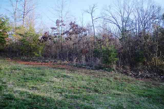 Lot 96 Eagleview Road Anderson, SC 29625 - Photo 4 of 5 Gallery Image 4