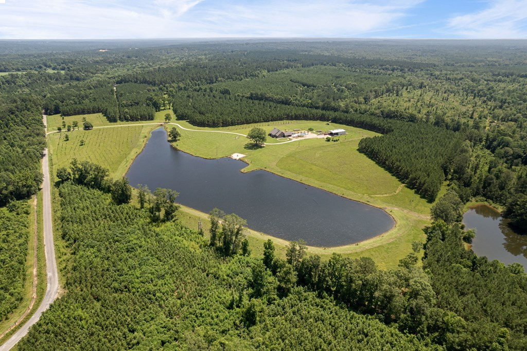 102 Loftin Road Columbia, MS 39429 - Photo 3 of 67 Photo 3