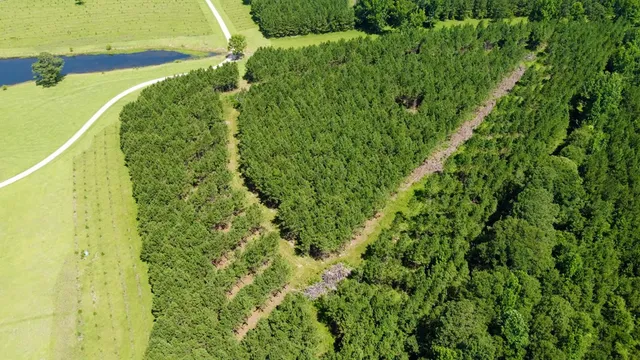 $850,000 | 102 Loftin Road, Columbia, MS 39429