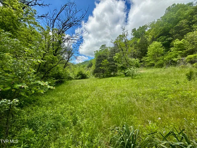 $132,000 | 47-ac Enoch Road, Eidson, TN 37731