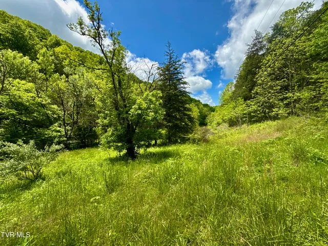 $132,000 | 47-ac Enoch Road, Eidson, TN 37731