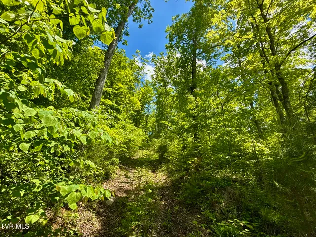 $132,000 | 47-ac Enoch Road, Eidson, TN 37731