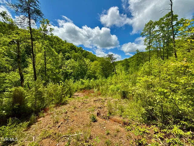 $132,000 | 47-ac Enoch Road, Eidson, TN 37731