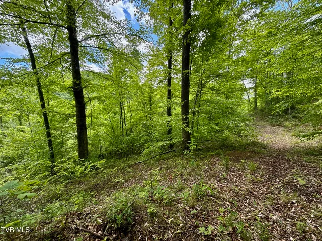 $132,000 | 47-ac Enoch Road, Eidson, TN 37731