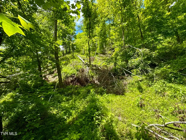 $132,000 | 47-ac Enoch Road, Eidson, TN 37731