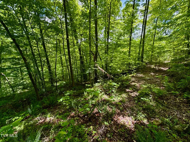 $132,000 | 47-ac Enoch Road, Eidson, TN 37731