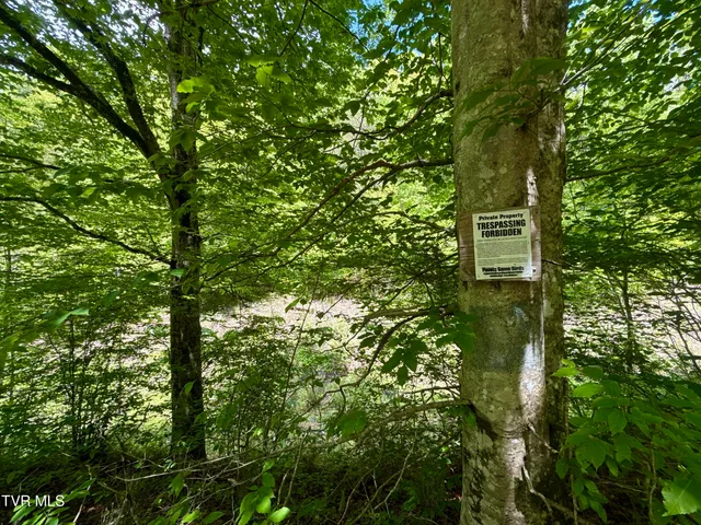 $132,000 | 47-ac Enoch Road, Eidson, TN 37731