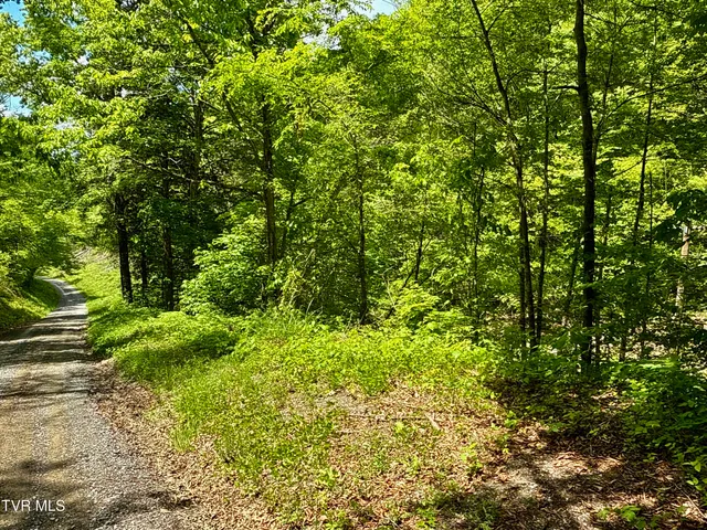 $132,000 | 47-ac Enoch Road, Eidson, TN 37731