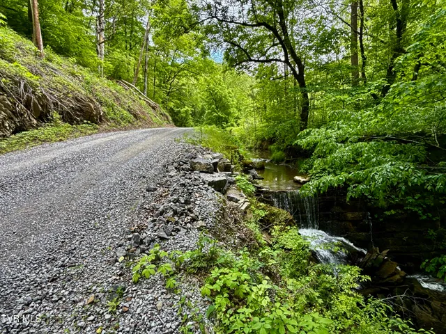 $132,000 | 47-ac Enoch Road, Eidson, TN 37731