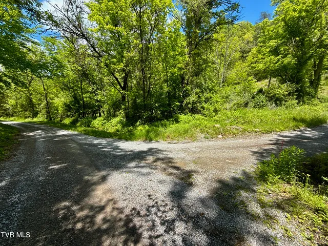 $132,000 | 47-ac Enoch Road, Eidson, TN 37731