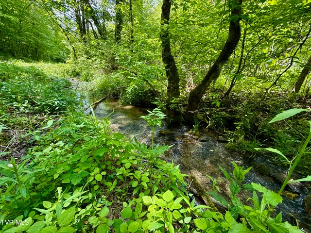 $132,000 | 47-ac Enoch Road, Eidson, TN 37731