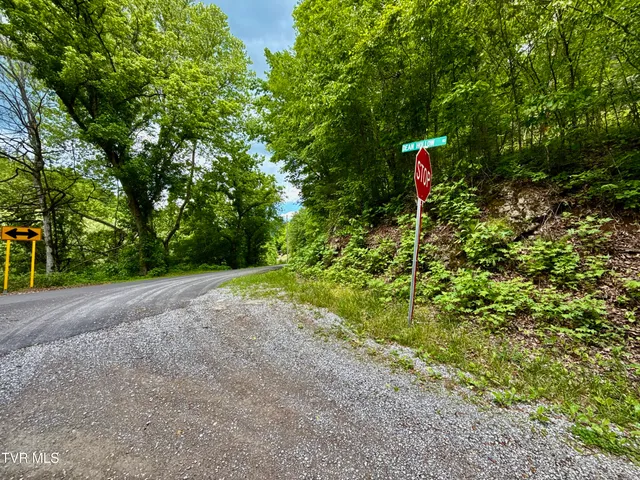 $132,000 | 47-ac Enoch Road, Eidson, TN 37731