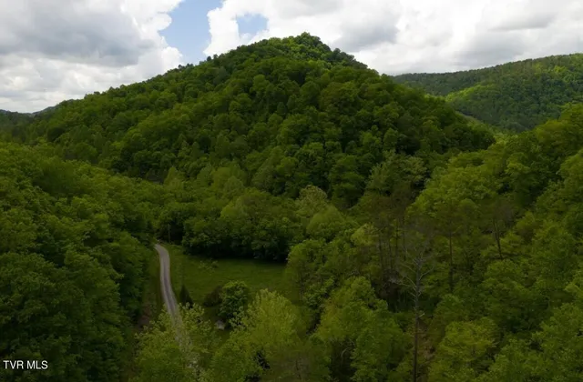 $132,000 | 47-ac Enoch Road, Eidson, TN 37731