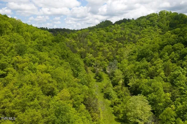 $132,000 | 47-ac Enoch Road, Eidson, TN 37731