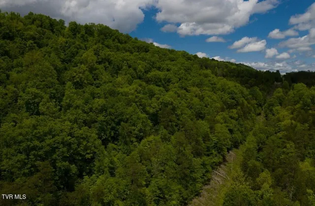 $132,000 | 47-ac Enoch Road, Eidson, TN 37731