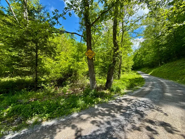 $132,000 | 47-ac Enoch Road, Eidson, TN 37731