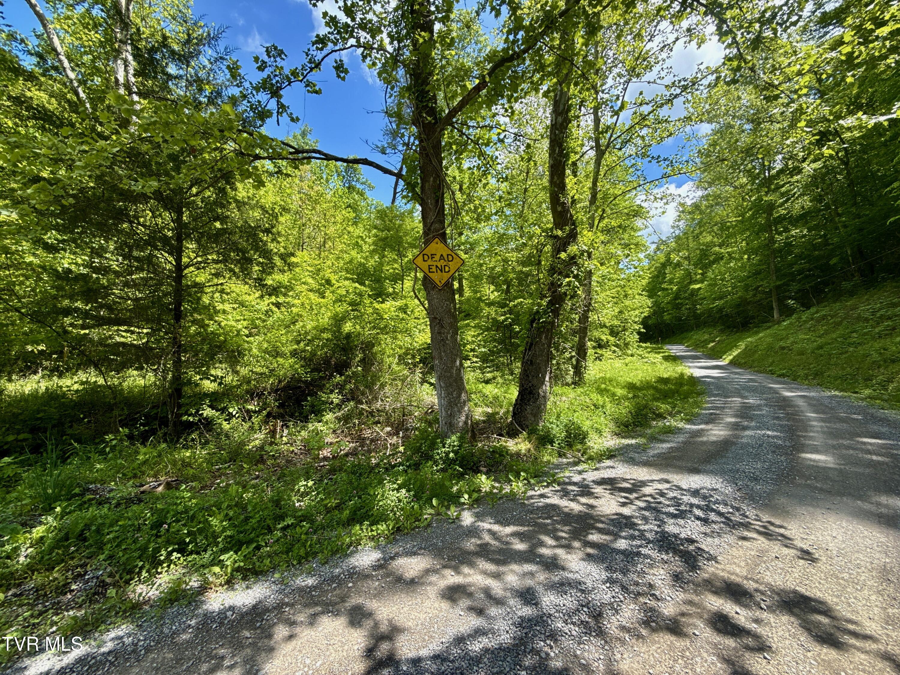 47-ac Enoch Road Eidson, TN 37731 - Photo 4 of 42 _Pic4 (64)