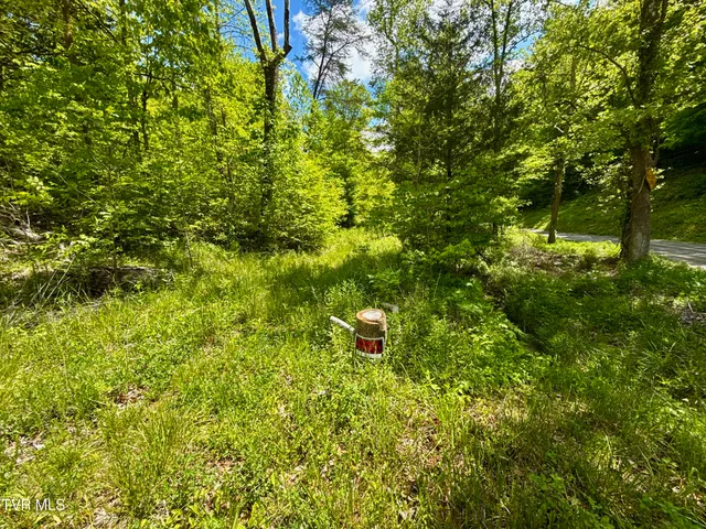 $132,000 | 47-ac Enoch Road, Eidson, TN 37731