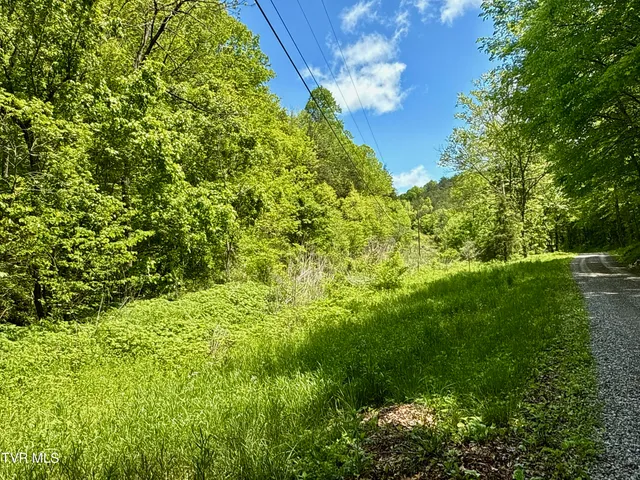 $132,000 | 47-ac Enoch Road, Eidson, TN 37731