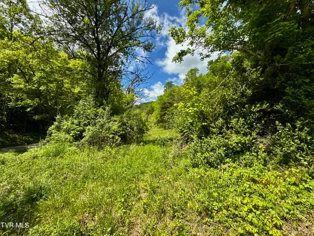 $132,000 | 47-ac Enoch Road, Eidson, TN 37731