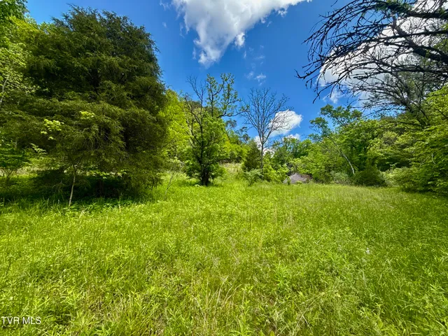 $132,000 | 47-ac Enoch Road, Eidson, TN 37731