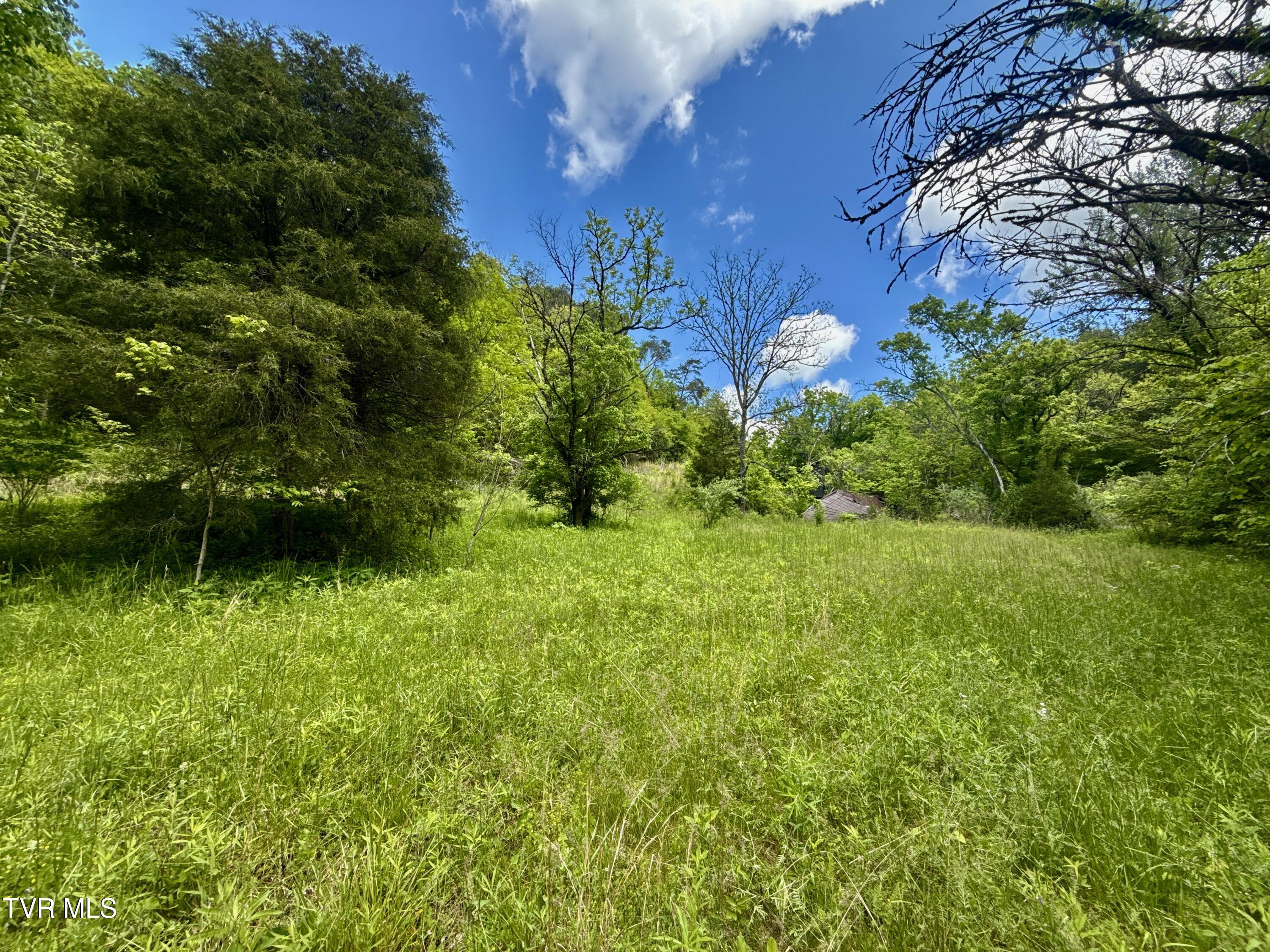 47-ac Enoch Road Eidson, TN 37731 - Photo 8 of 42 _Pic8 (57)