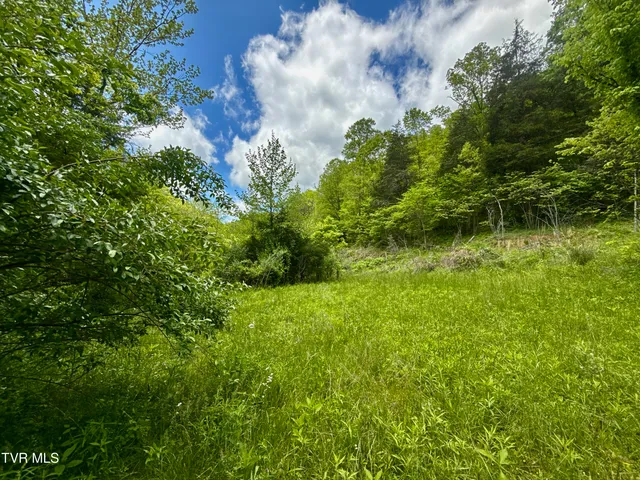 $132,000 | 47-ac Enoch Road, Eidson, TN 37731