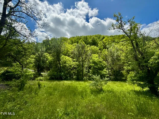 $132,000 | 47-ac Enoch Road, Eidson, TN 37731
