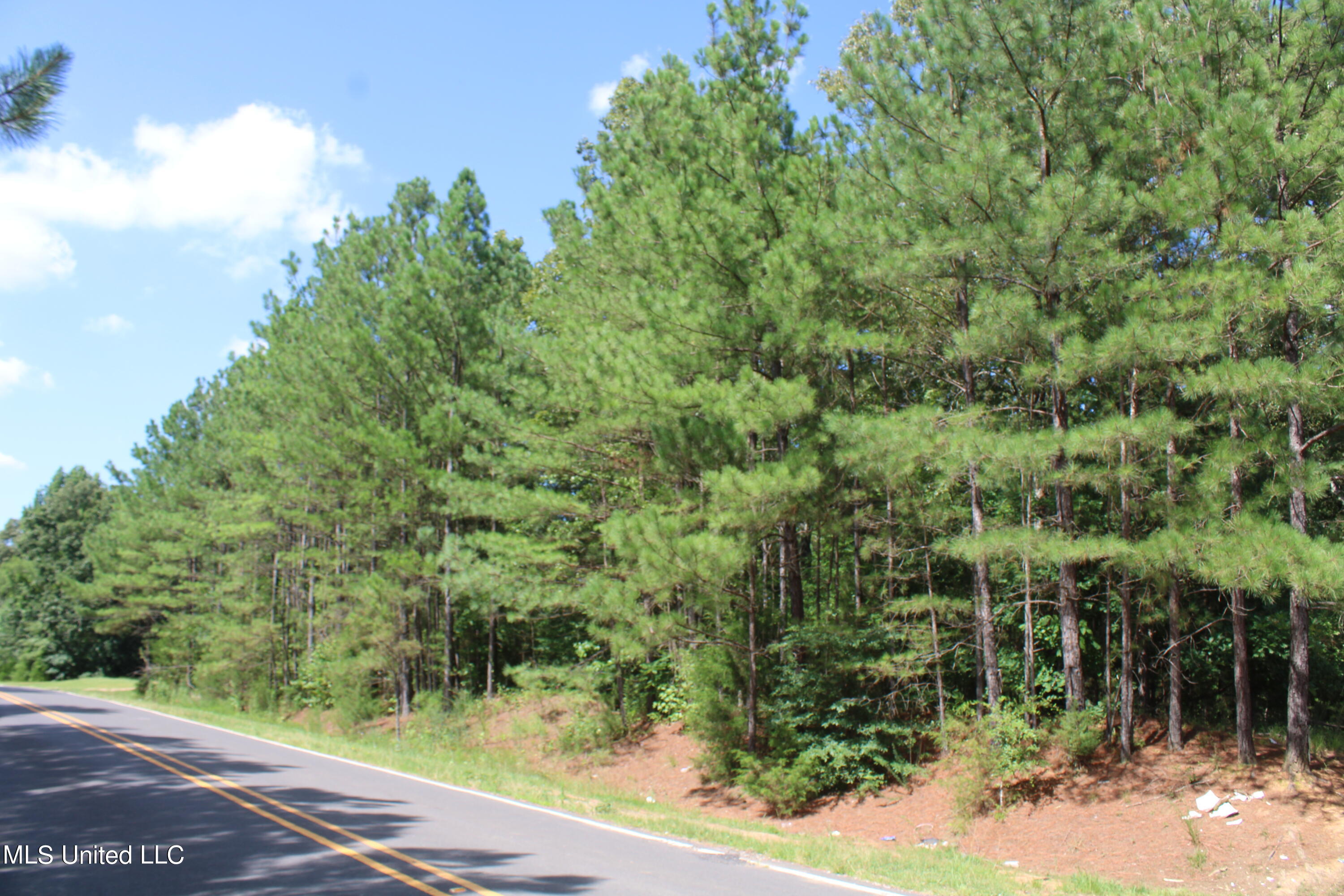 1935 Victoria Road Byhalia, MS 38611 - Photo 1 of 14 IMG_4159
