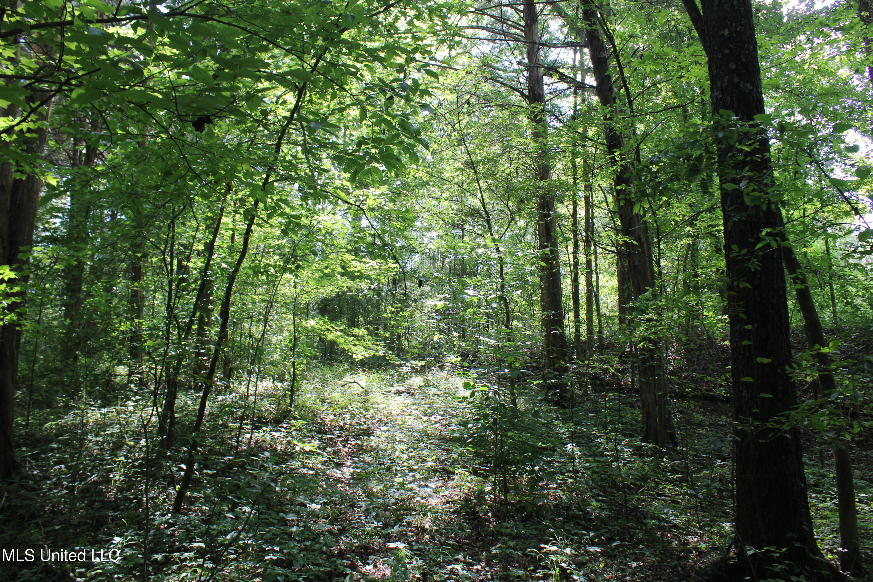 1935 Victoria Road Byhalia, MS 38611 - Photo 3 of 14 land