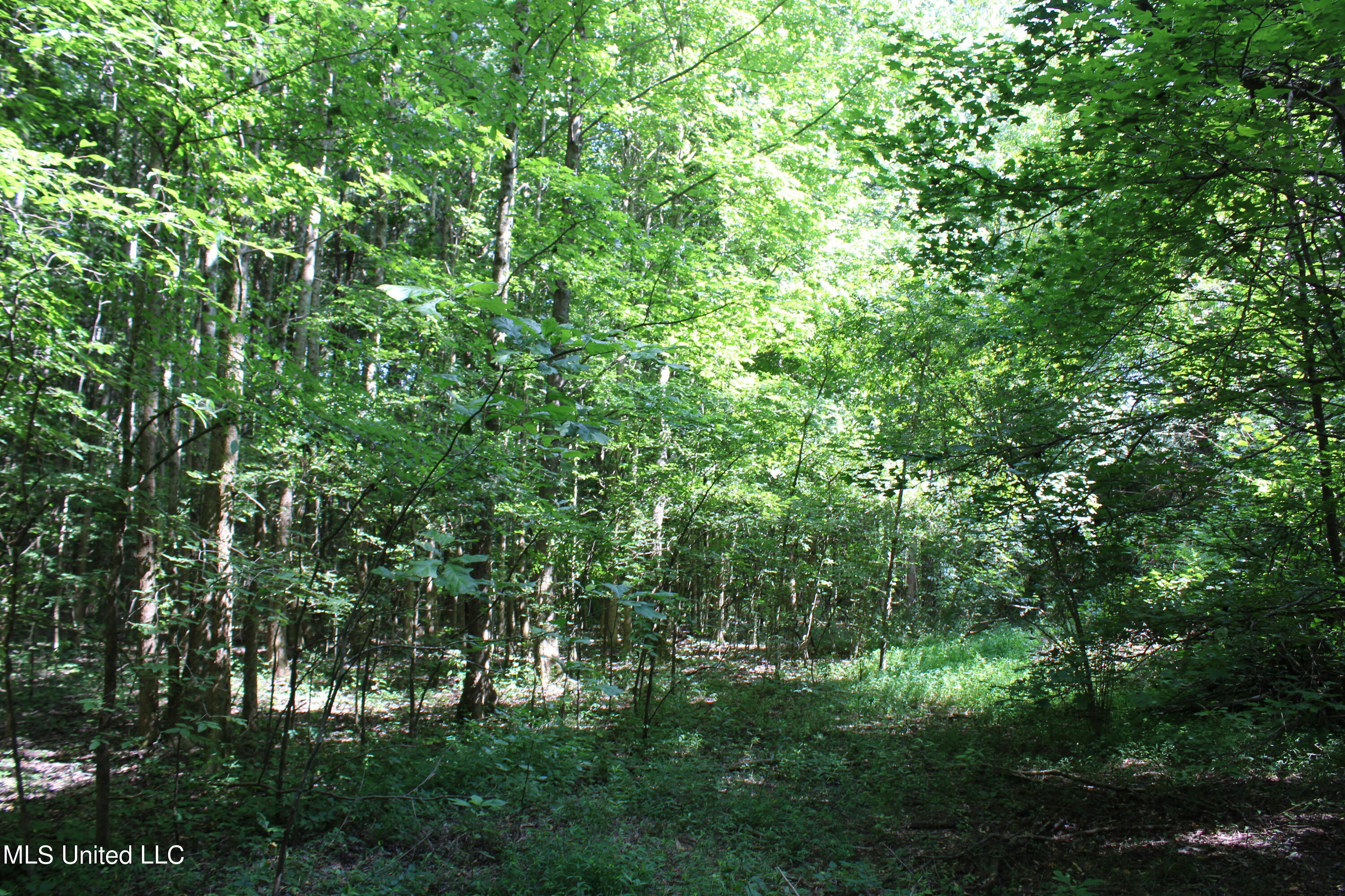1935 Victoria Road Byhalia, MS 38611 - Photo 8 of 14 IMG_4171