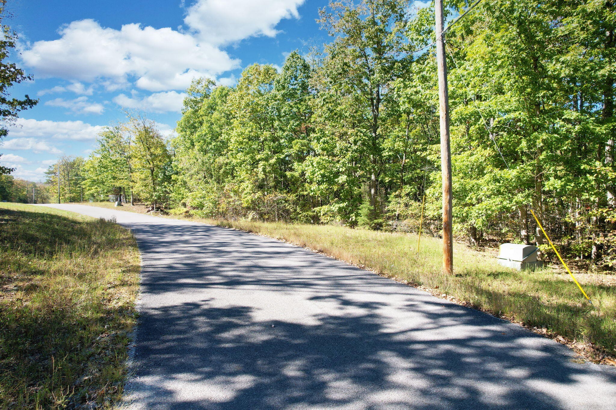 a view of yard along with trees