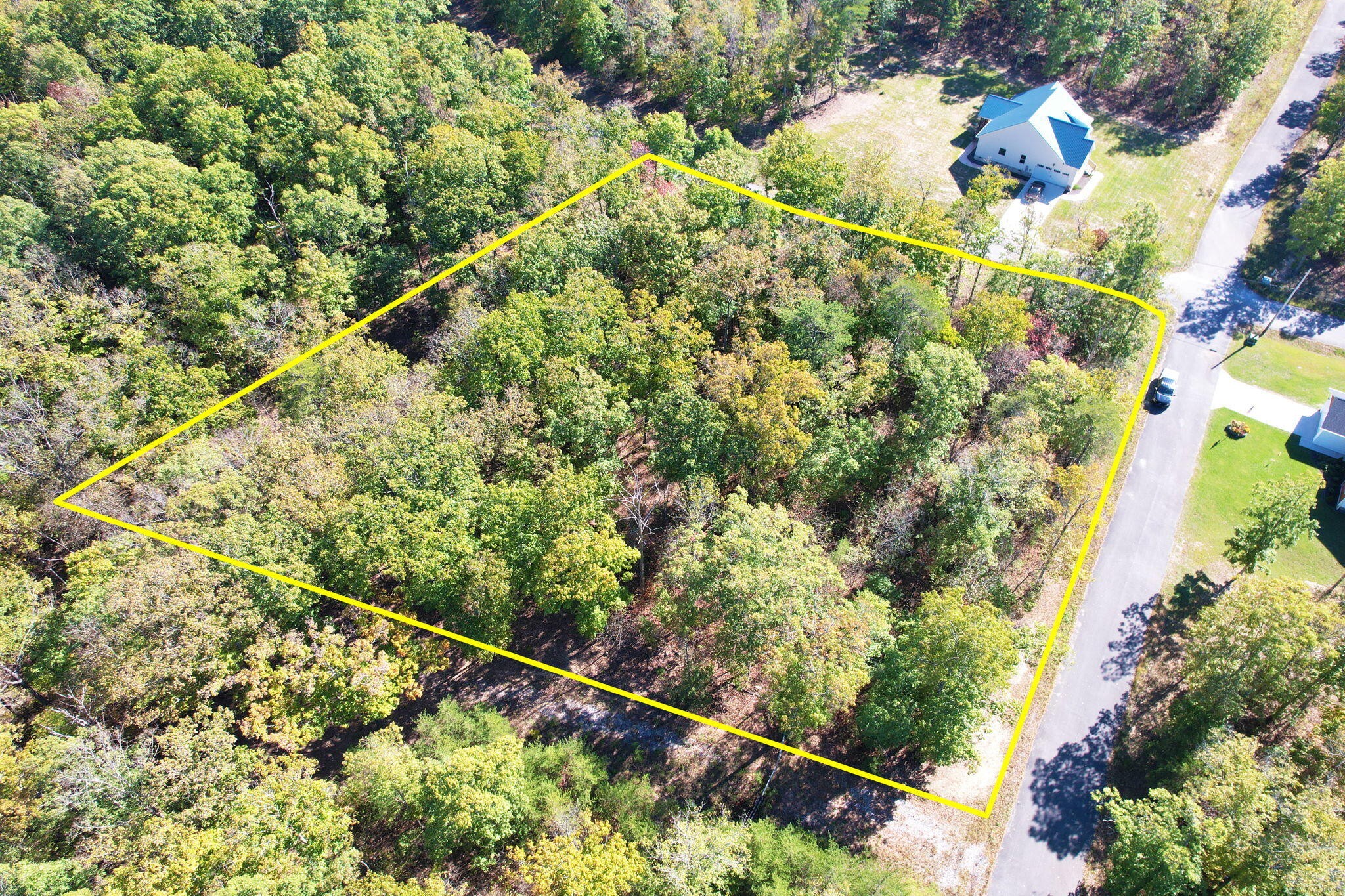 0 Timber View Road Pikeville, TN 37367 - Photo 11 of 14 a view of a forest