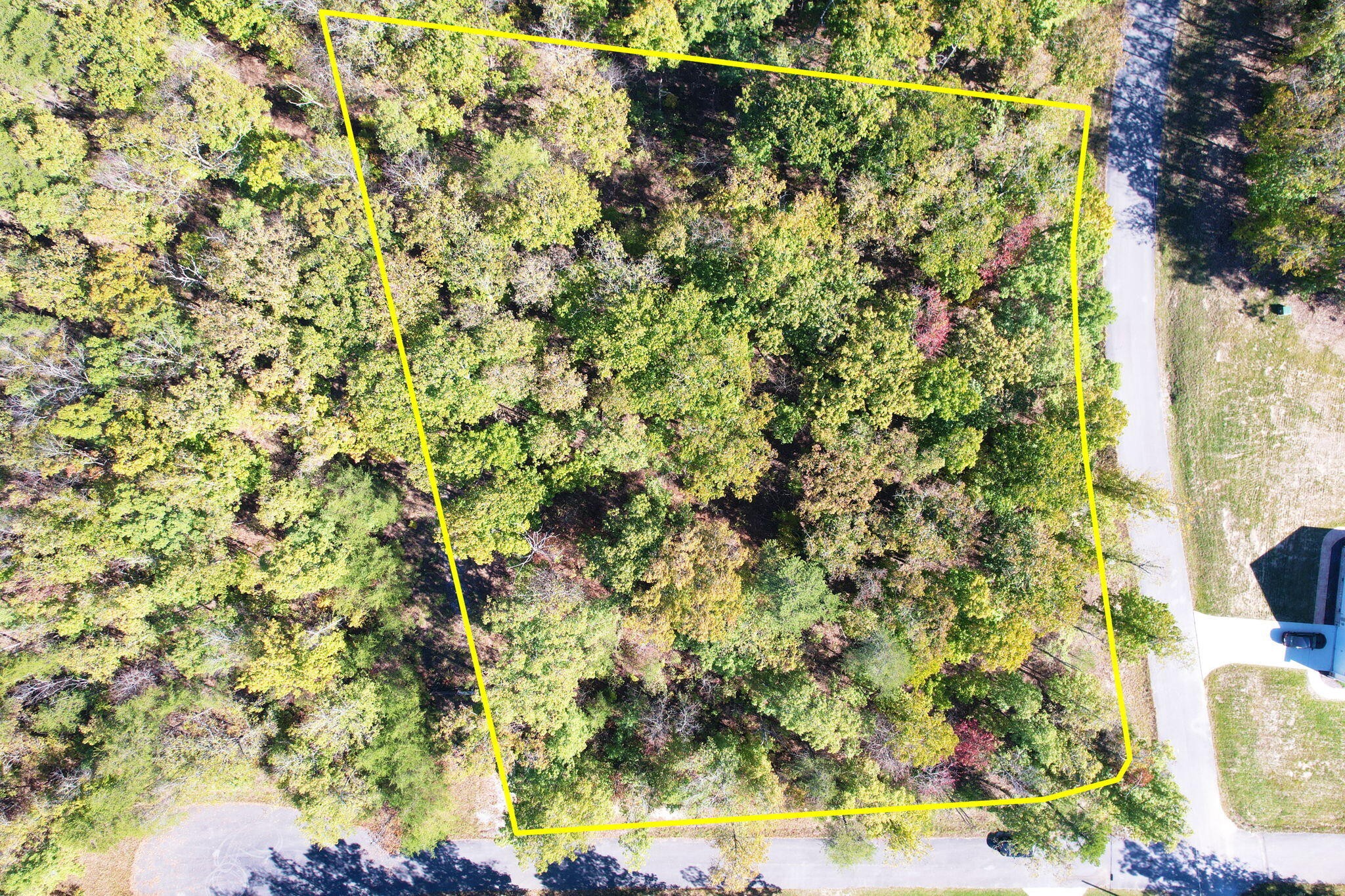 0 Timber View Road Pikeville, TN 37367 - Photo 12 of 14 a view of a yard